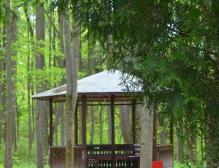 Беседки на территории санатория - Санаторий «Дорохово»